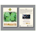 Clover Flower Seed Packet